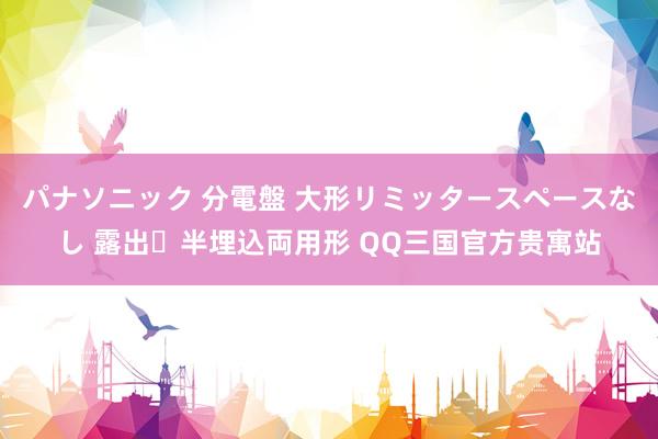 パナソニック 分電盤 大形リミッタースペースなし 露出・半埋込両用形 QQ三国官方贵寓站