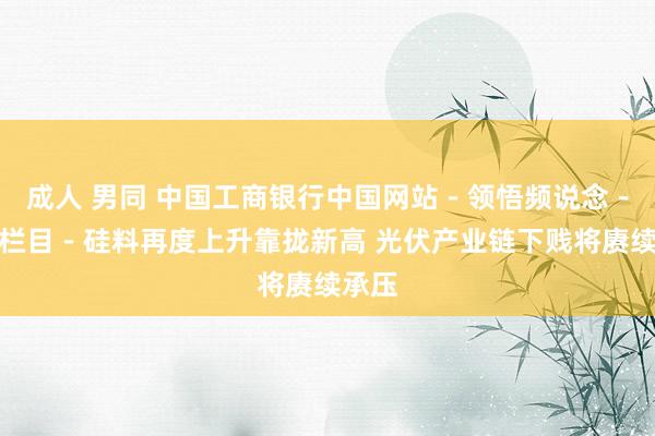 成人 男同 中国工商银行中国网站－领悟频说念－韩迅栏目－硅料再度上升靠拢新高 光伏产业链下贱将赓续承压
