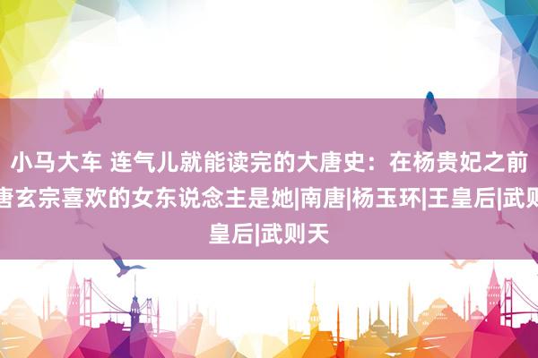 小马大车 连气儿就能读完的大唐史：在杨贵妃之前，唐玄宗喜欢的女东说念主是她|南唐|杨玉环|王皇后|武则天