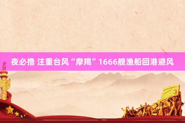夜必撸 注重台风“摩羯”1666艘渔船回港避风
