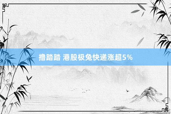 撸踏踏 港股极兔快递涨超5%
