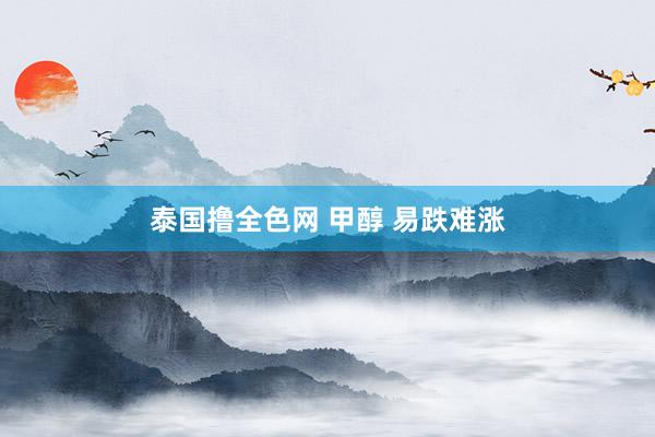 泰国撸全色网 甲醇 易跌难涨