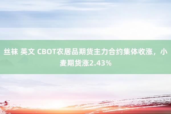 丝袜 英文 CBOT农居品期货主力合约集体收涨，小麦期货涨2.43%