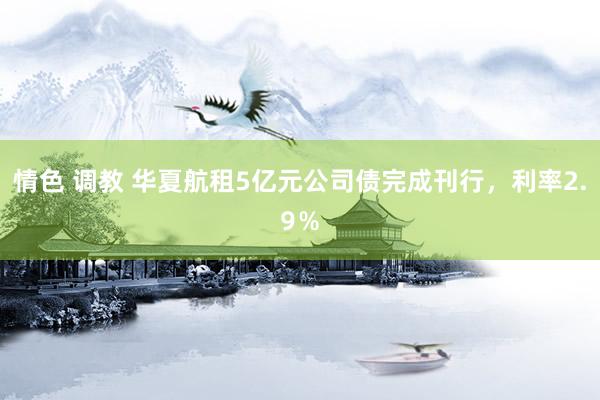 情色 调教 华夏航租5亿元公司债完成刊行，利率2.9％