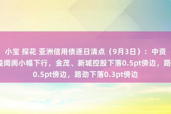 小宝 探花 亚洲信用债逐日清点（9月3日）：中资好意思元债高收益阛阓小幅下行，金茂、新城控股下落0.5pt傍边，路劲下落0.3pt傍边