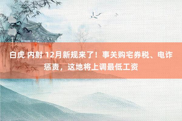 白虎 内射 12月新规来了！事关购宅券税、电诈惩责，这地将上调最低工资