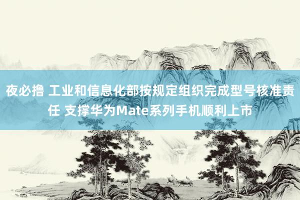 夜必撸 工业和信息化部按规定组织完成型号核准责任 支撑华为Mate系列手机顺利上市