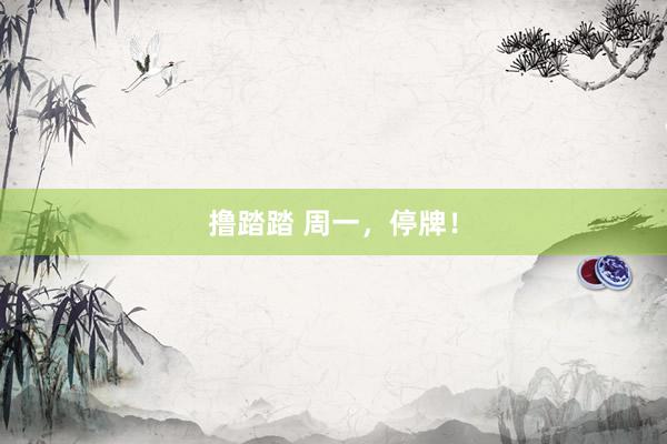 撸踏踏 周一，停牌！