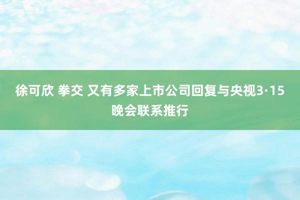 徐可欣 拳交 又有多家上市公司回复与央视3·15晚会联系推行