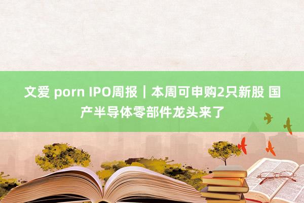 文爱 porn IPO周报｜本周可申购2只新股 国产半导体零部件龙头来了