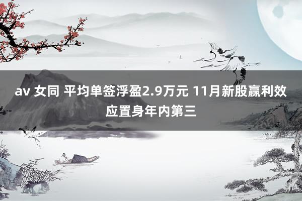 av 女同 平均单签浮盈2.9万元 11月新股赢利效应置身年内第三