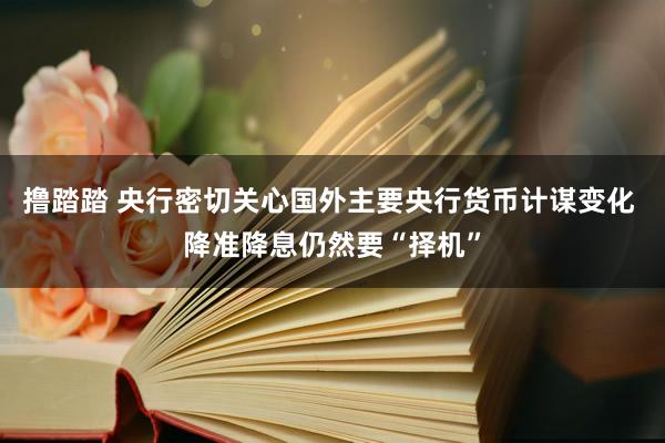撸踏踏 央行密切关心国外主要央行货币计谋变化 降准降息仍然要“择机”