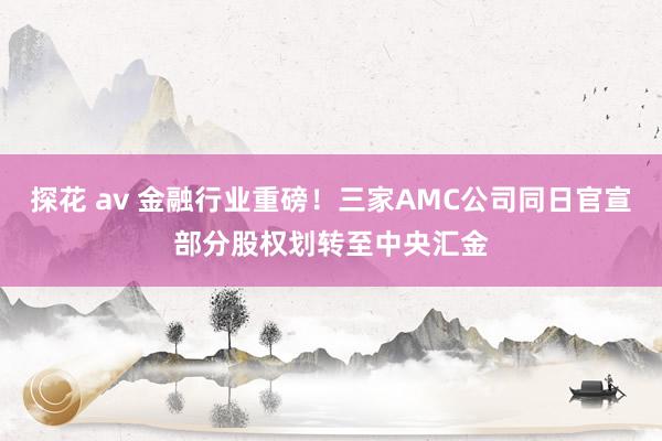 探花 av 金融行业重磅！三家AMC公司同日官宣部分股权划转至中央汇金