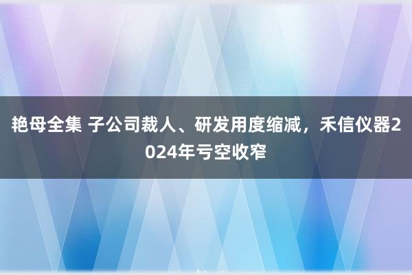 艳母全集 子公司裁人、研发用度缩减，禾信仪器2024年亏空收窄